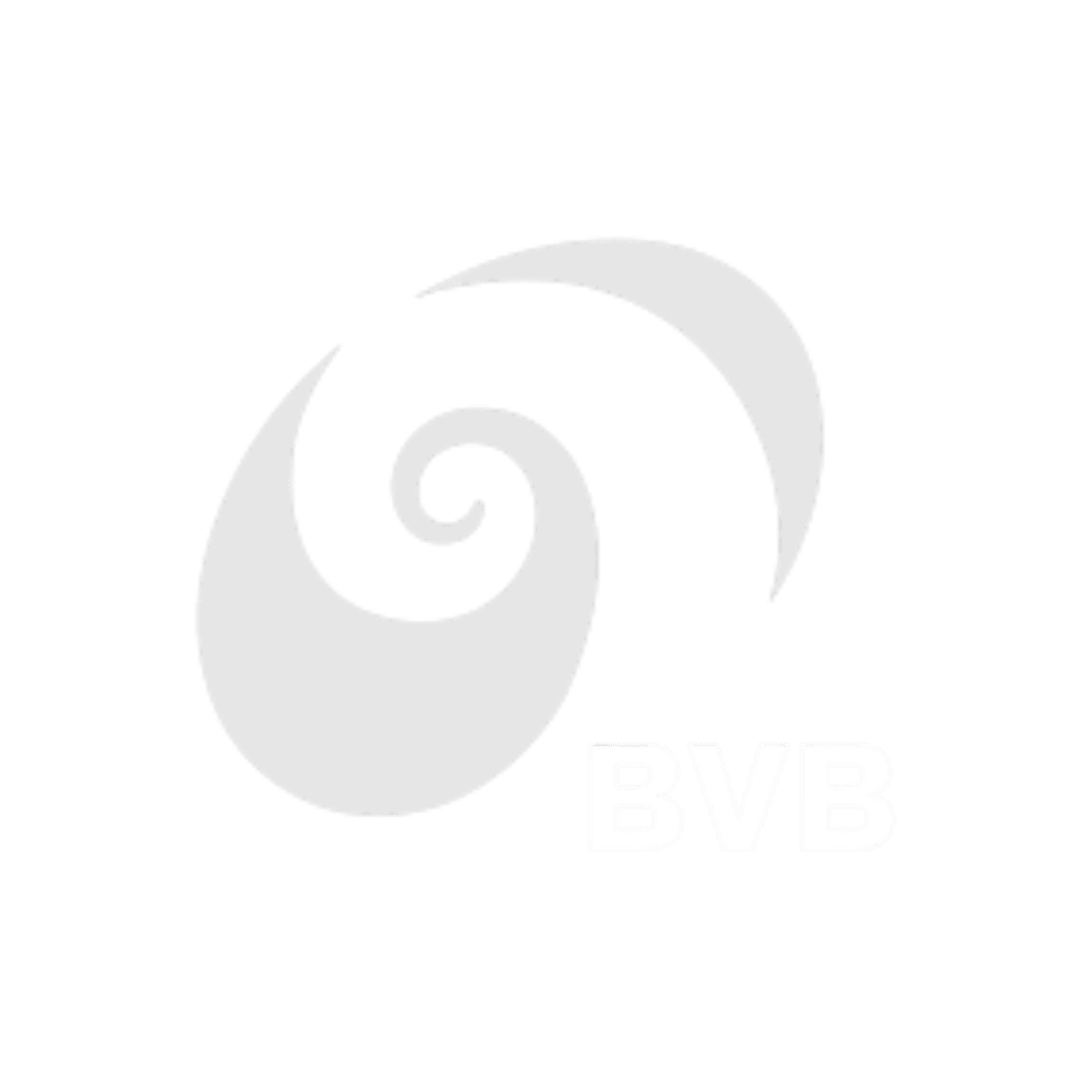 Kundenlogo   Bvb